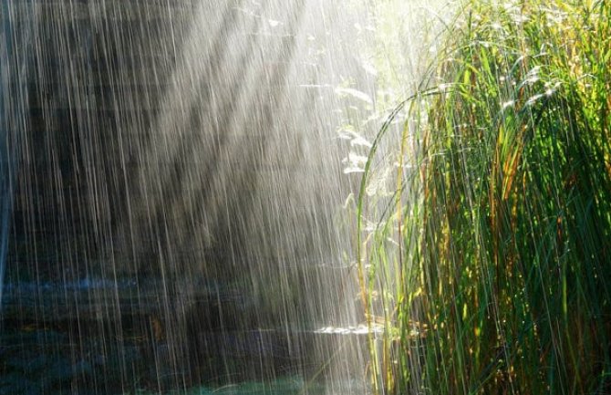 Izjutra padavine, tokom drugog dijela dana razvedravanje