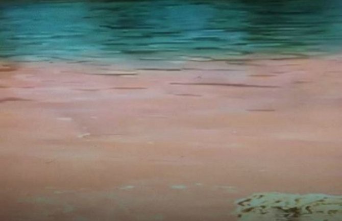 Bijelo Polje: Ekološka katastrofa na Limu,  ispuštene velike količine krvi