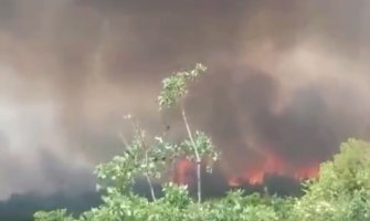 Požar se naglo razbuktao, u toku evakuacija stanovništva na Luštici i Bigovu(VIDEO)