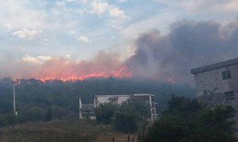 DF: NATO ostavio CG na cjedilu da se sama bori protiv požara