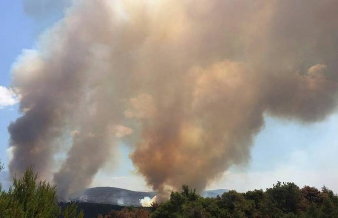 Otvoren žiro račun za pomoć ugroženima od požara, potreban smještaj