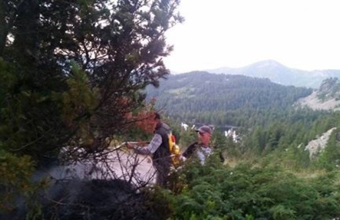 Lokalizovan podmetnuti požar u NP Prokletije