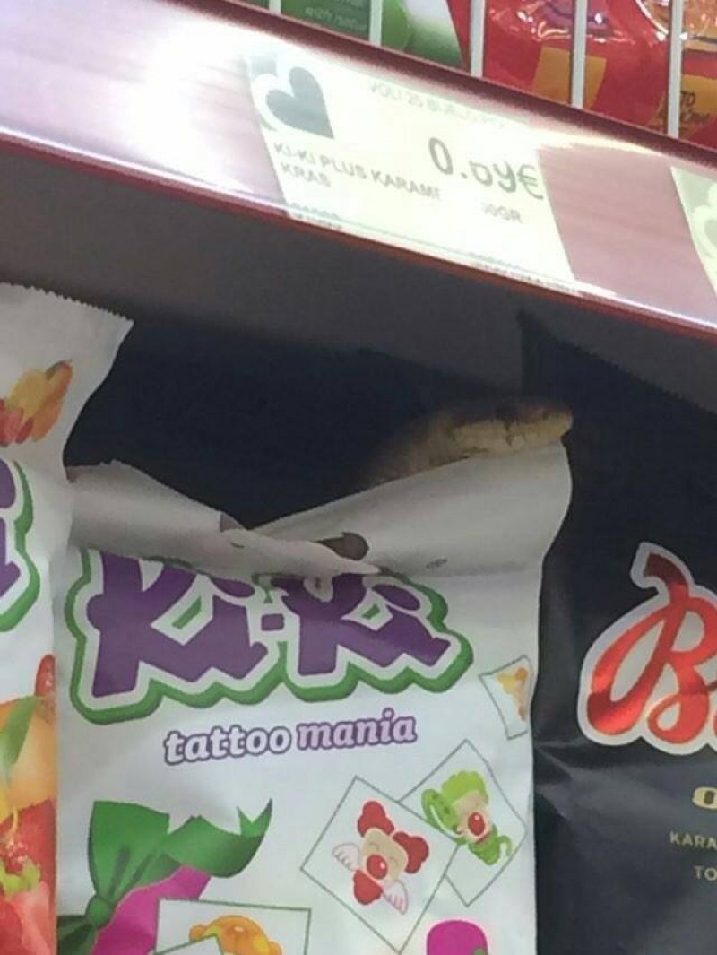 202285918669791434500942472713772381597852n