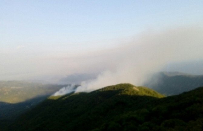 Lovački savez CG: Požari u HN nanijeli štetu divljači