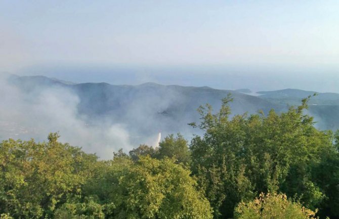Ponovo vatra u Herceg Novom: Gori na nekoliko lokacija na Luštici 