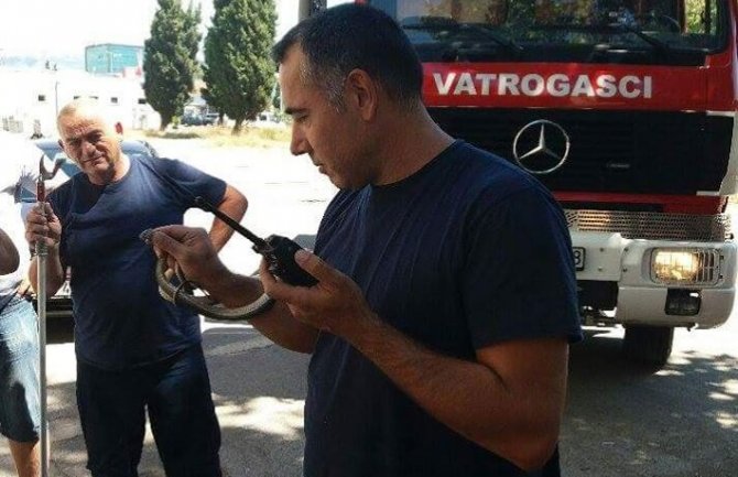 Burno ljeto za vatrogasce, gase požare, hvataju zmije...(FOTO)