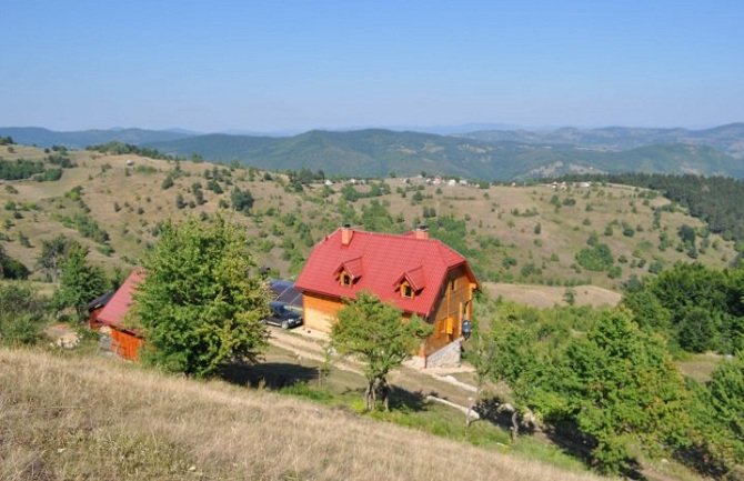 Čobanin odveo bikove na ispašu a oni ga raskomadali