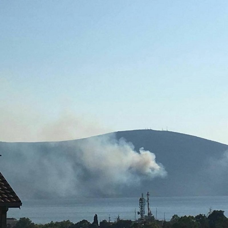 205260798738506527629433649056929100315217n