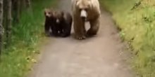 Pošao u park i susreo se oči u oči sa medvedom (VIDEO)