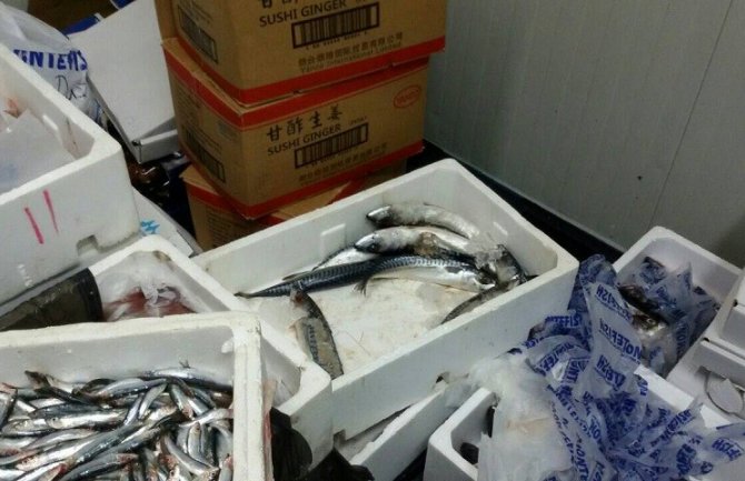 Nelegalni ribolov: Inspekcija oduzela 325 kilograma dagnji, ribe i prstaca