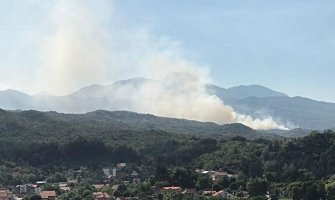 Vatra se širi ka Lovćenu, vatrogasci brane ugrožene kuće
