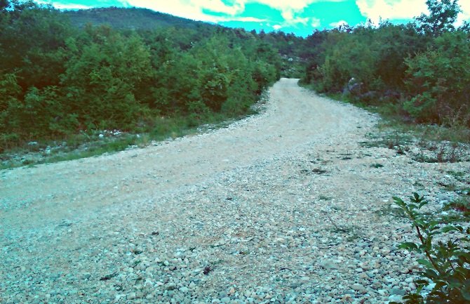 Nikšić: Podnijeta inicijativa Grboviću za asfaltiranje puta do azila za pse 