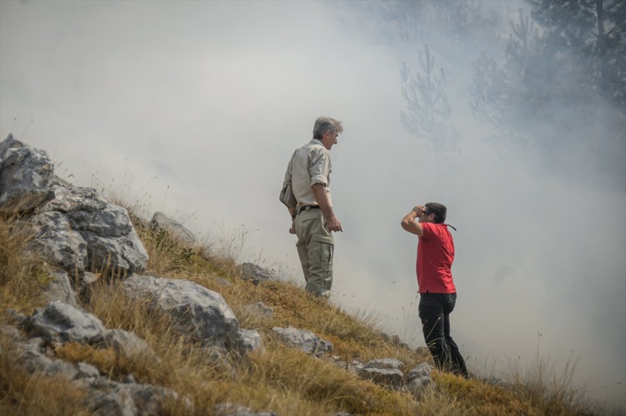 2017081622527072324983538Web