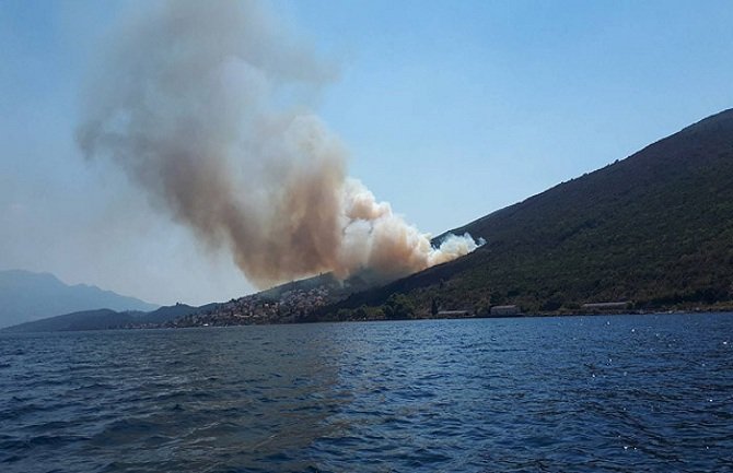 Luštica: Ljudstvo i mehanizacija ponovo angažovani u gašenju požara