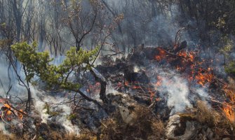 URA Bar: Potrebno više institicionalnog i ličnog angažovanja u gašenju požara