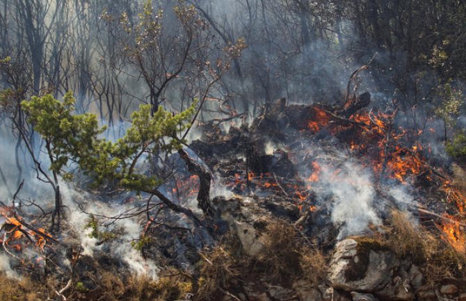 URA Bar: Potrebno više institicionalnog i ličnog angažovanja u gašenju požara