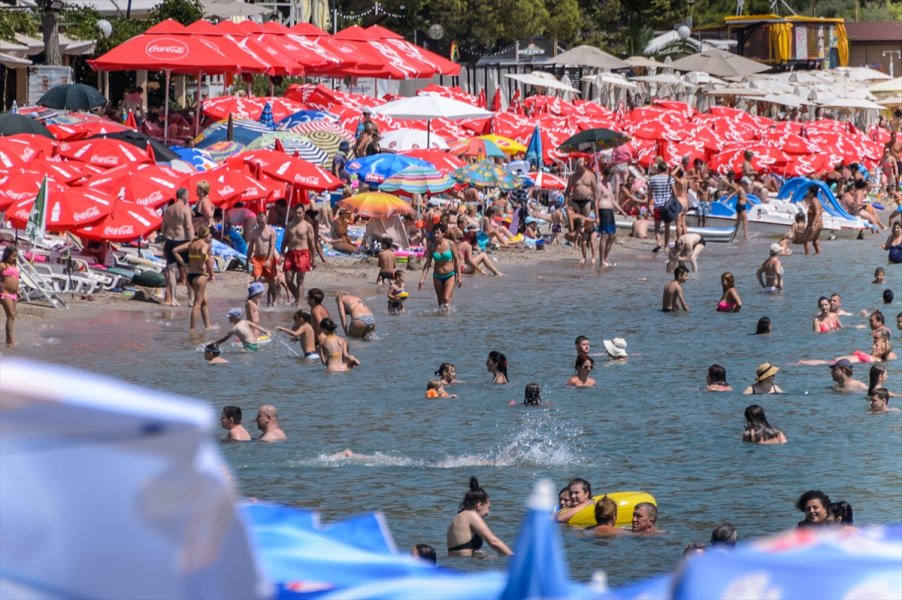 2017081922532425425070567Web