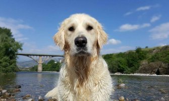 Prijepodne sunčano, poslijepodne oblačno i kiša