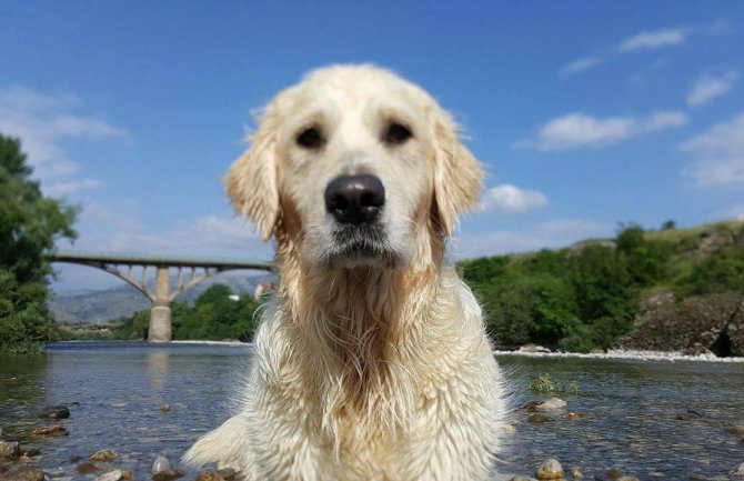 Prijepodne sunčano, poslijepodne oblačno i kiša