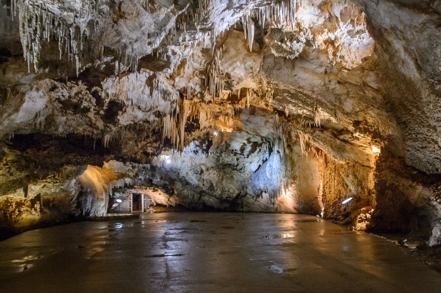 2017082022533842125099691Web