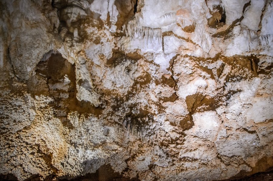 2017082022533842125099697Web