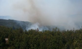 Ogroman požar kod Nikšića, kuća spašena u poslednjem trenutku