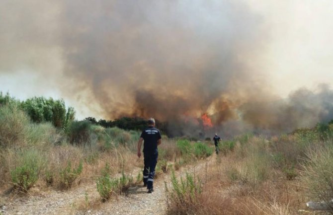 Požari pričinili veliku štetu koja se mjeri milionima eura