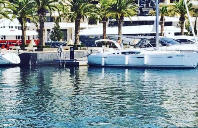 Delfini se odomaćili u zalivu Boke (FOTO)