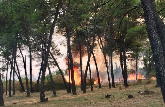 Snažna eksplozija izazvala požar u Tološima 
