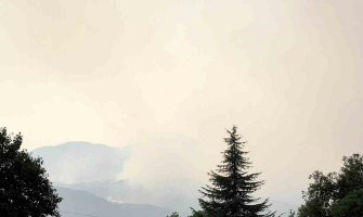  Požari na većini lokaliteta u NP Lovćen pod kontrolom ali su ugroženi Šančevi