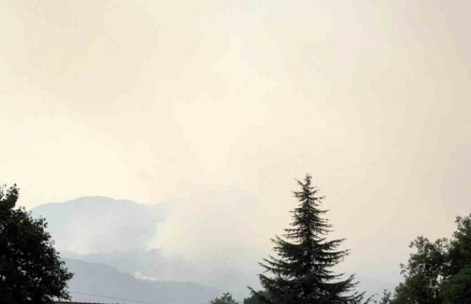  Požari na većini lokaliteta u NP Lovćen pod kontrolom ali su ugroženi Šančevi