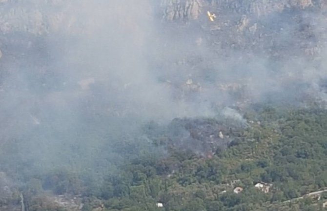 Požari u Baru stabilizovani, nema opasnosti po kuće i ljude, stradale i masline stare 500 godina
