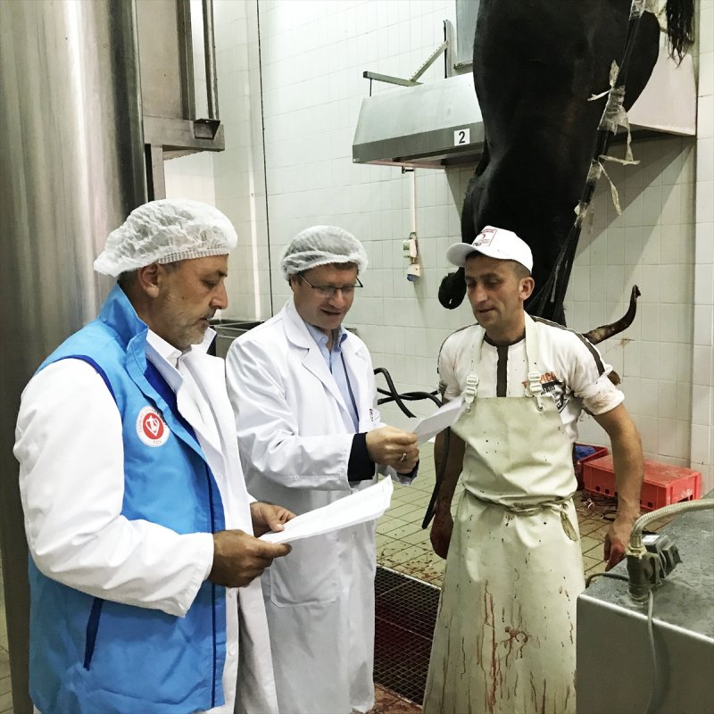 2017090122553756725479809Web