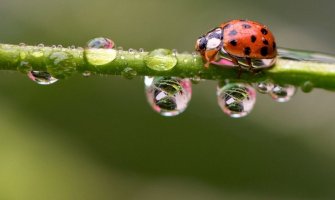 Narandžasti meteoalarm: Danas kiša, moguće vremenske nepogode