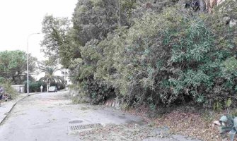 Herceg Novi: Polomljeno drveće, plažni mobilijar, zatrpani kanali