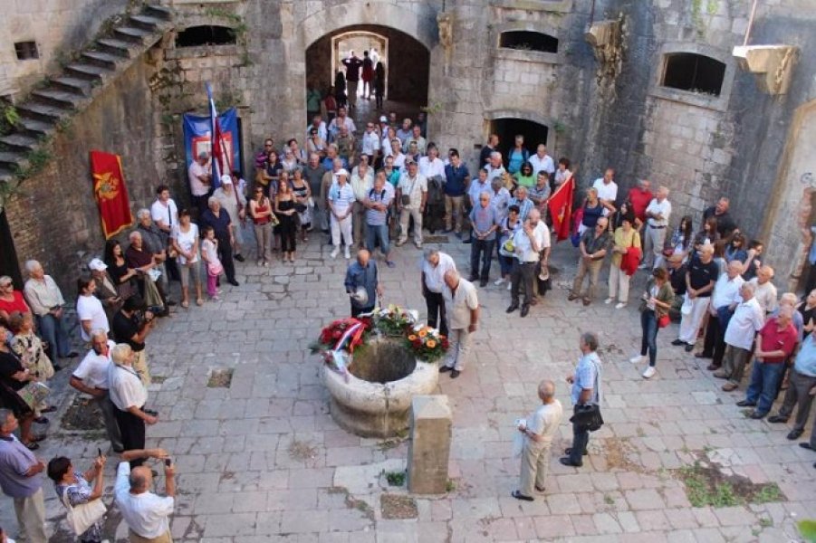 cgoccelogormamula201510