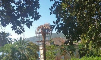 Palmin surlaš ponovo hara Herceg Novim