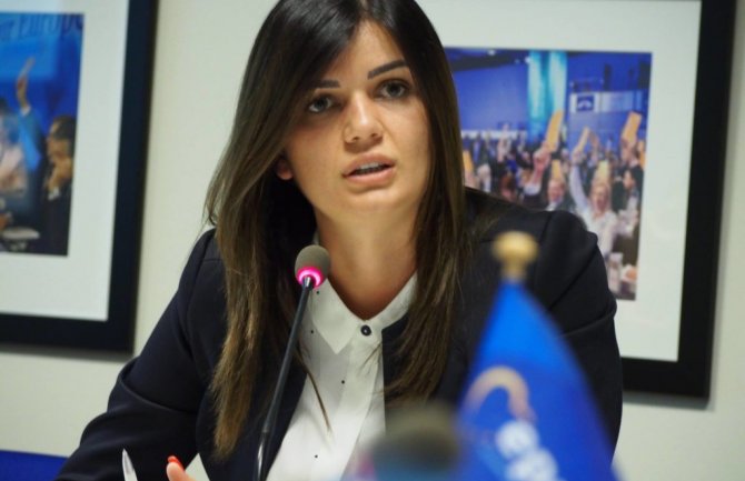 Ivanović: Vlada prvo da proglasi monarhiju pa onda usvoji ovakav zakon