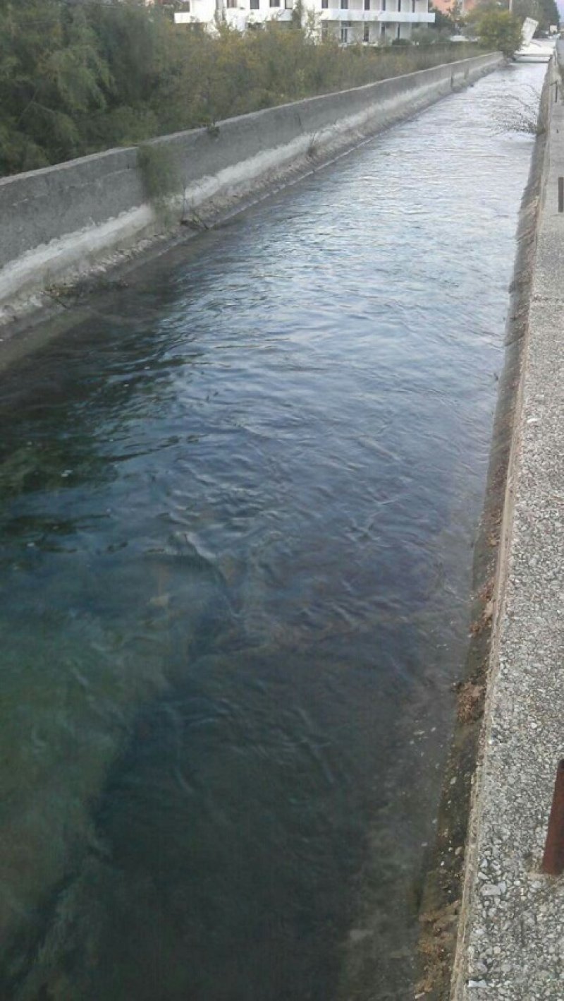 morskavodakrenulakasolanskimbazenima