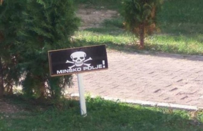 Barani zatečeni: Minsko polje u centru grada