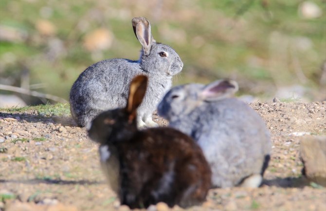 Evo kakvo nas vrijeme očekuje za vikend