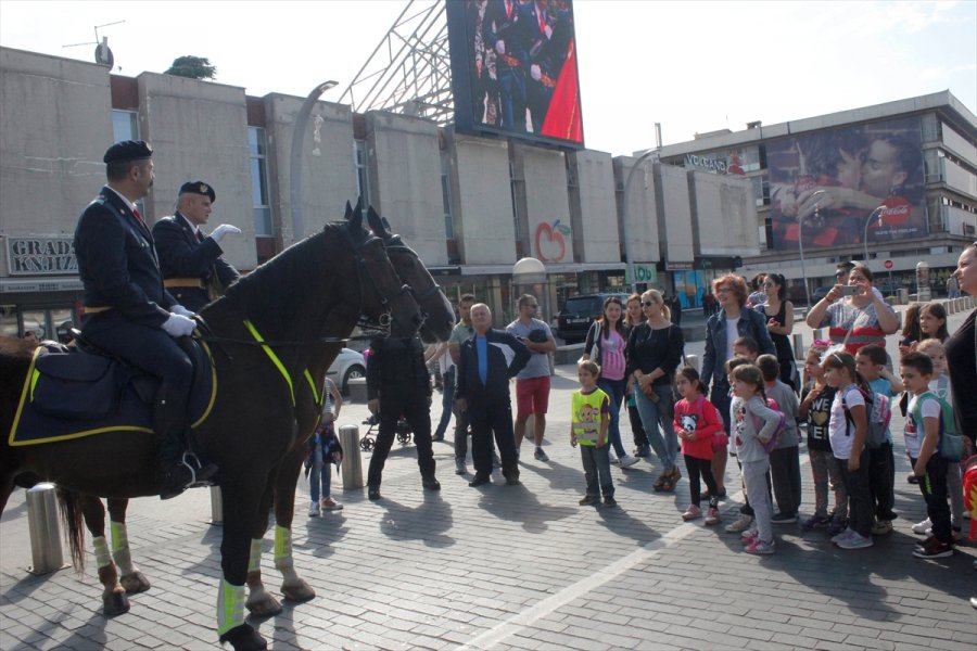 2017100122603648826383842Web