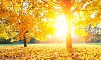 Sjutra sunčano, do 25 stepeni