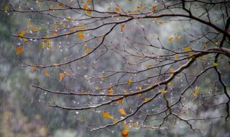 Danas oblačno, tokom noći padavine