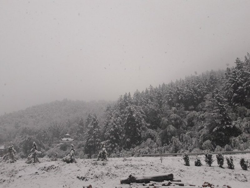 22330812102148506759683851902893440n