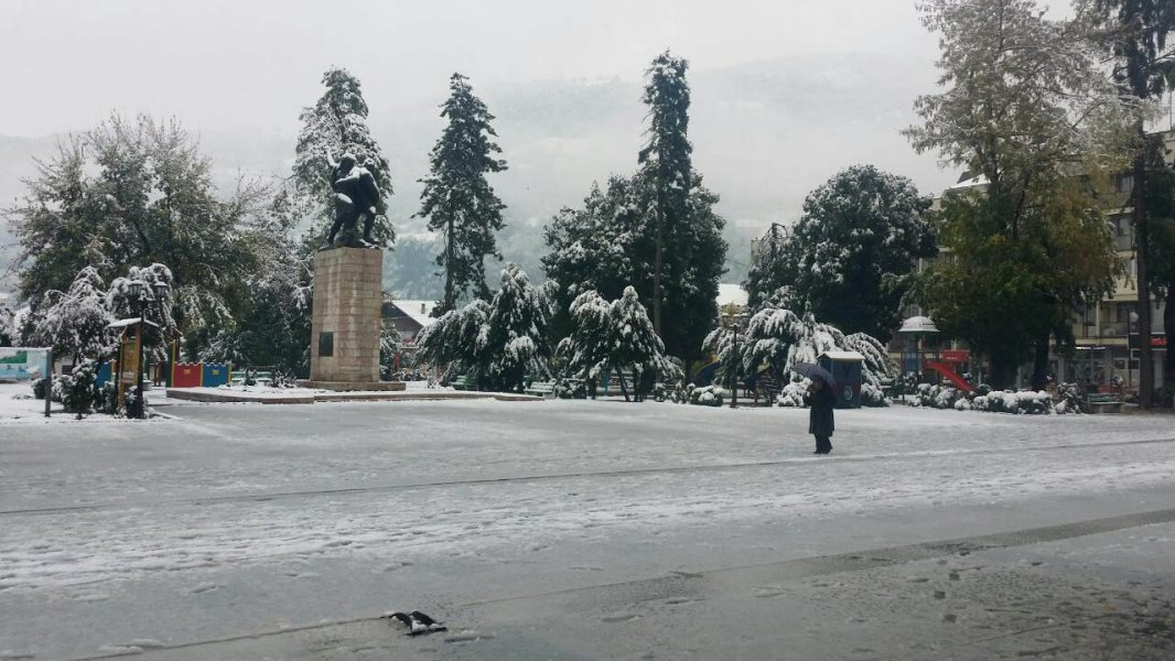 22345464102148508920137861106607652o