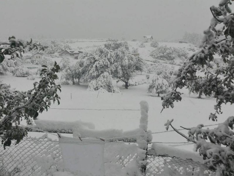 2228193115349256632133394428560185633353942n