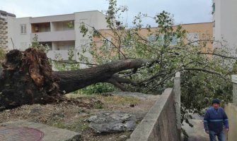 Vjetar jačine do 120 km na čas lomio rasvjetu i stabla (FOTO)