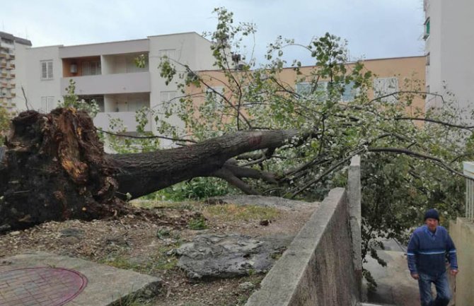 Vjetar jačine do 120 km na čas lomio rasvjetu i stabla (FOTO)