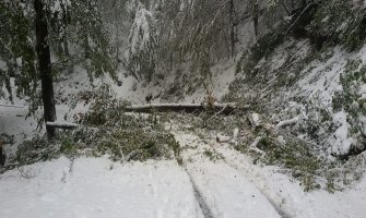 NP Biogradska gora danas i sjutra zatvoren za posjete
